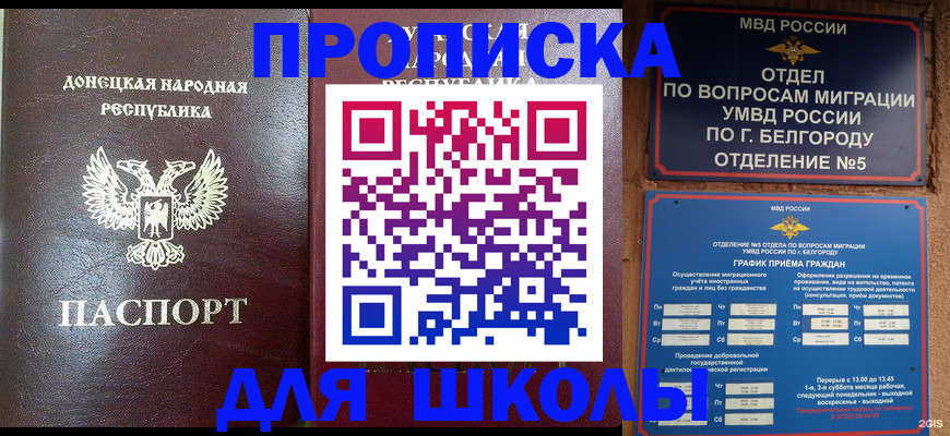 прописка для работы в Новозыбкове